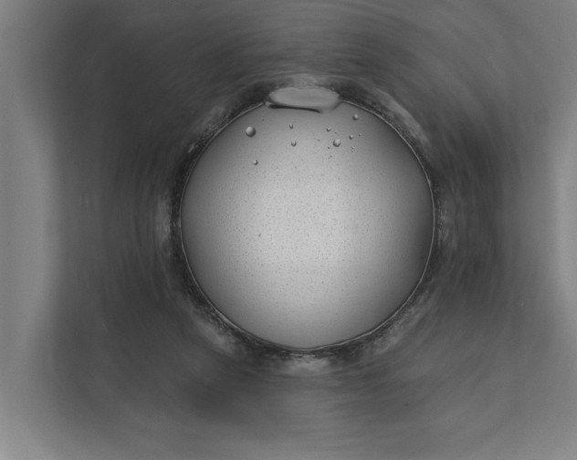 X0000112180257200908211506