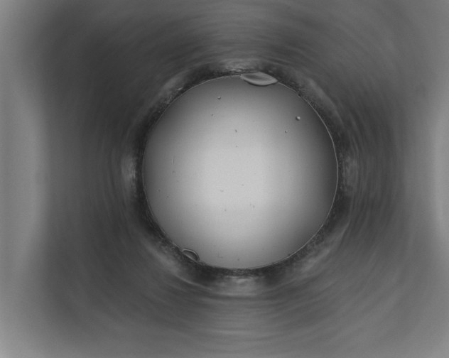 X0000112180260200908211506