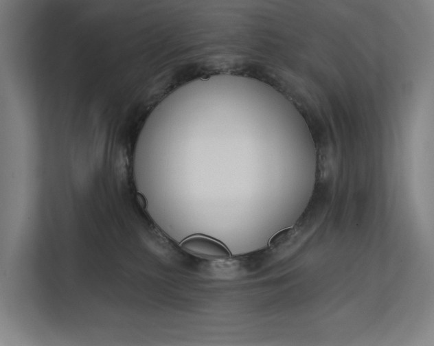 X0000112180279200908211506