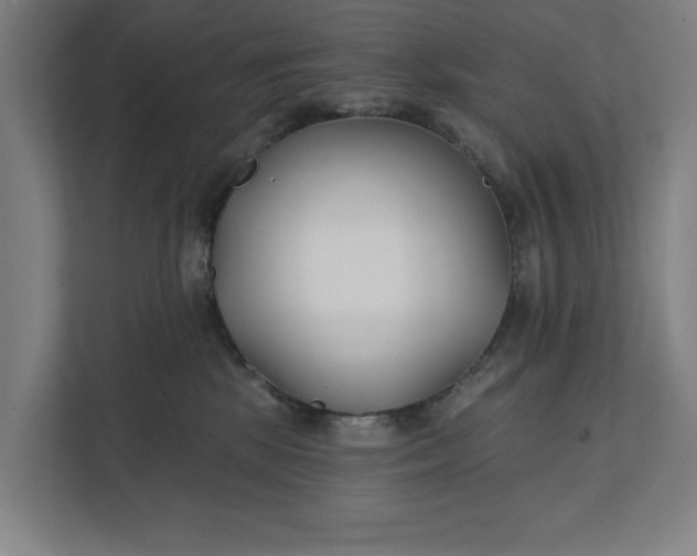 X0000112180281200908211506