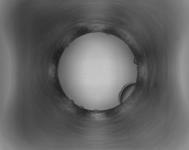 X0000112180283200908211506