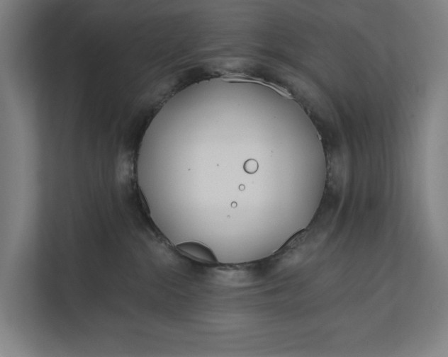 X0000112180284200908211506