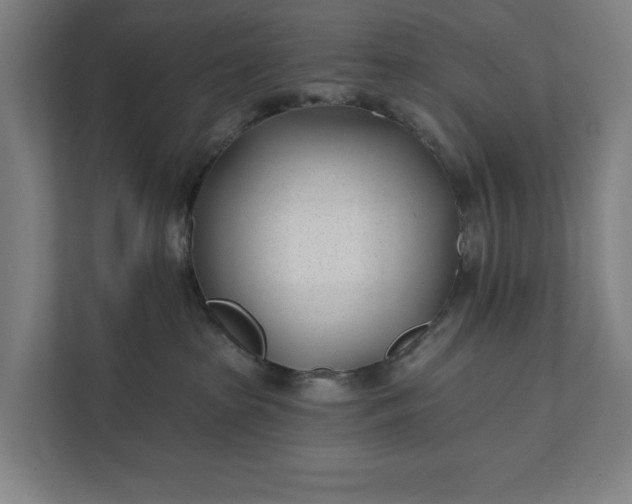 X0000112180285200908211506