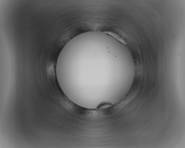 X0000112180286200908211506