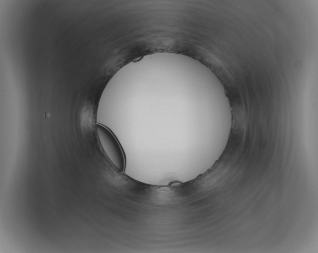 X0000112180287200908211506