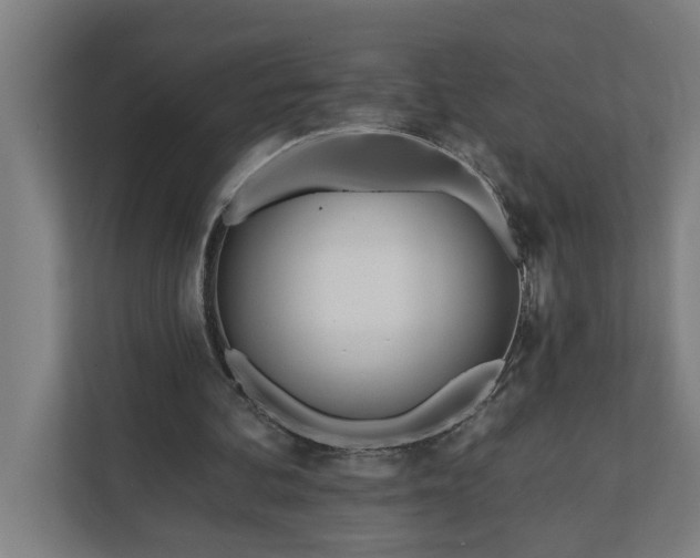 X0000112180292200908211505