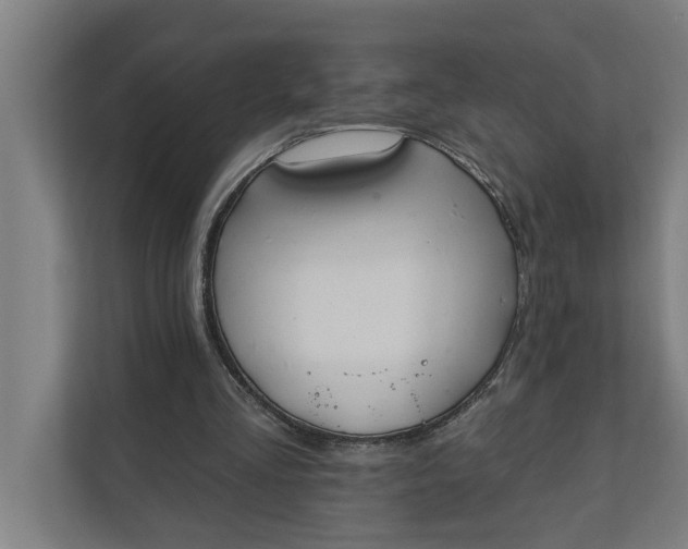 X0000112180293200908211505