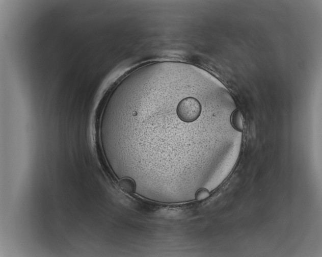 X0000112180294200908211505