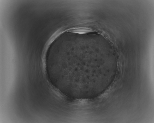 X0000112180295200908211505