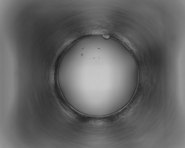 X0000112180299200908211505