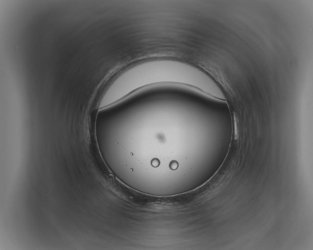 X0000112180300200908211505