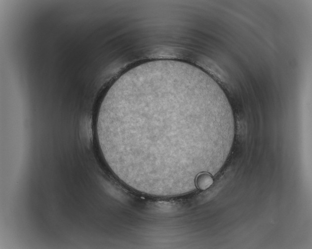 X0000112180302200908211505