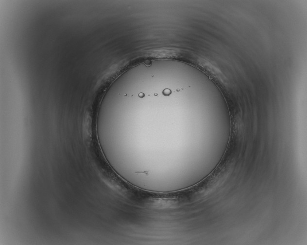 X0000112180303200908211505