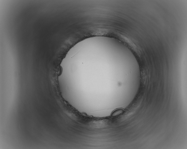 X0000112180307200908211505