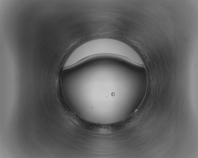 X0000112180308200908211505