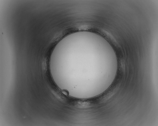 X0000112180311200908211505