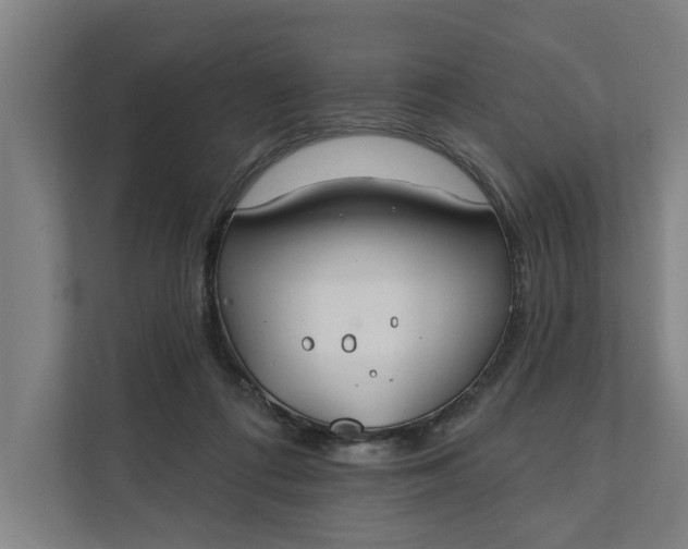 X0000112180312200908211505