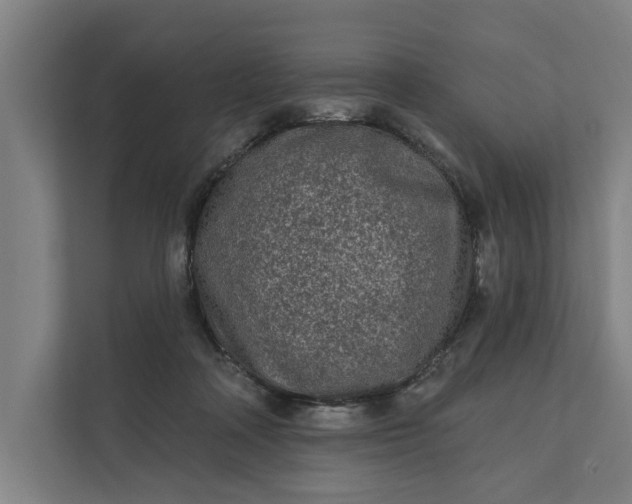 X0000112180314200908211505