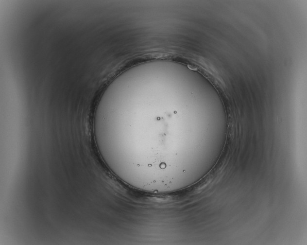 X0000112180317200908211505