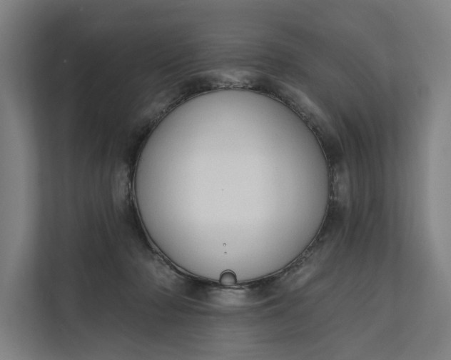 X0000112180318200908211505