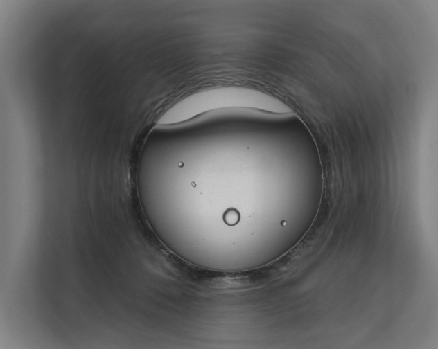 X0000112180320200908211505