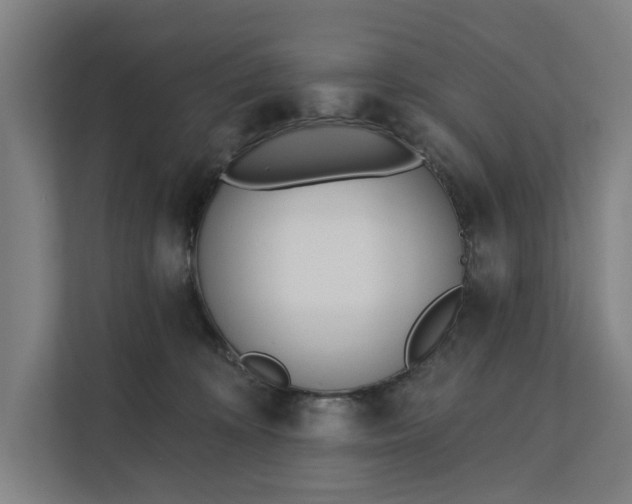 X0000112180324200908211505