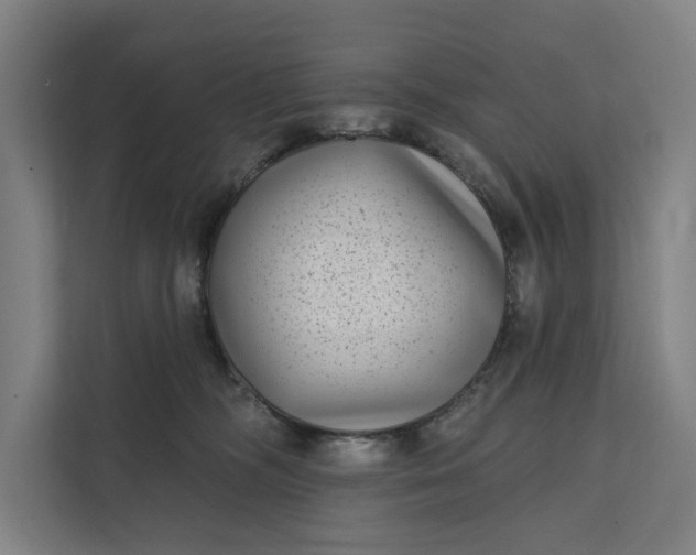 X0000112180326200908211505