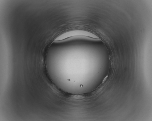 X0000112180327200908211505