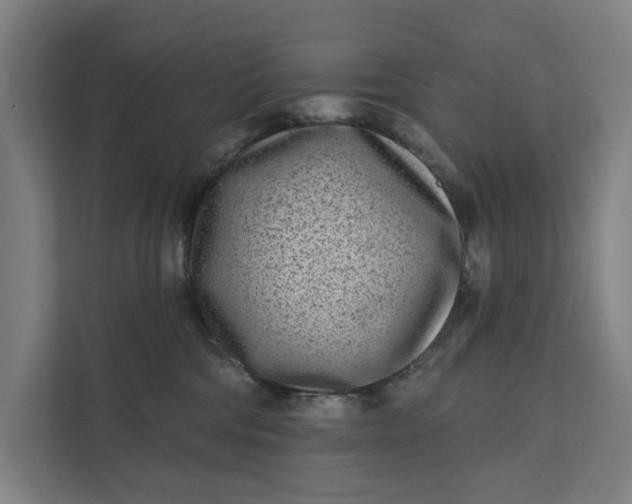 X0000112180330200908211505