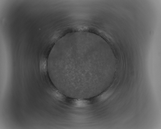 X0000112180336200908211505