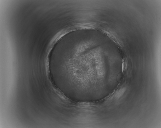 X0000112180339200908211504