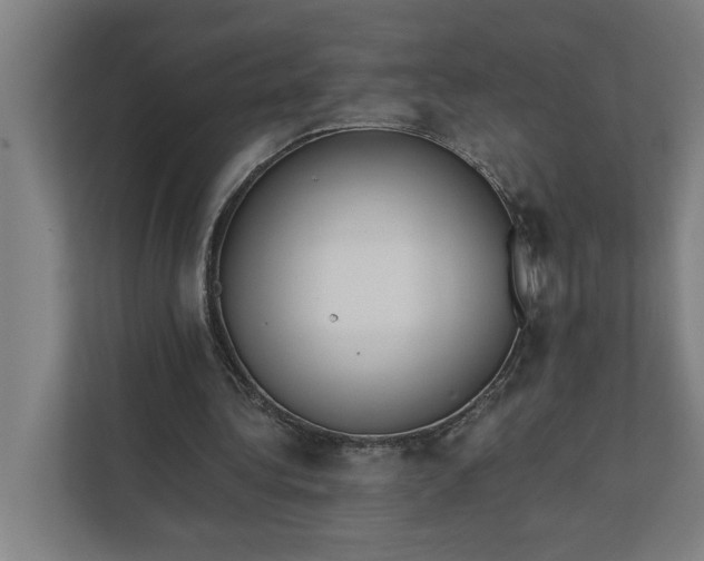 X0000112180340200908211504