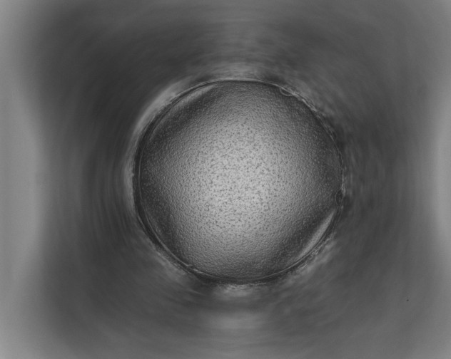 X0000112180341200908211504