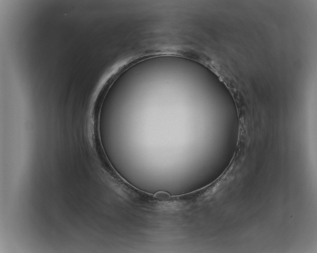 X0000112180342200908211504