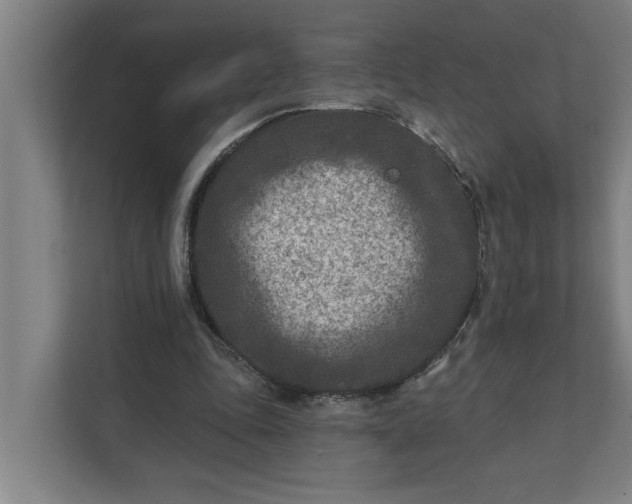 X0000112180343200908211504