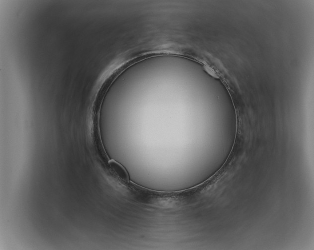 X0000112180344200908211504