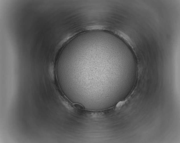 X0000112180345200908211504