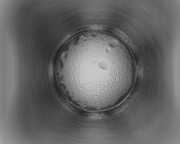 X0000112180347200908211504