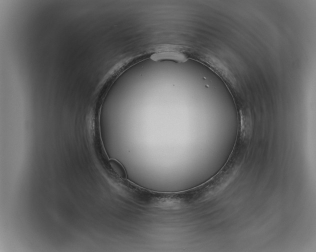 X0000112180348200908211504