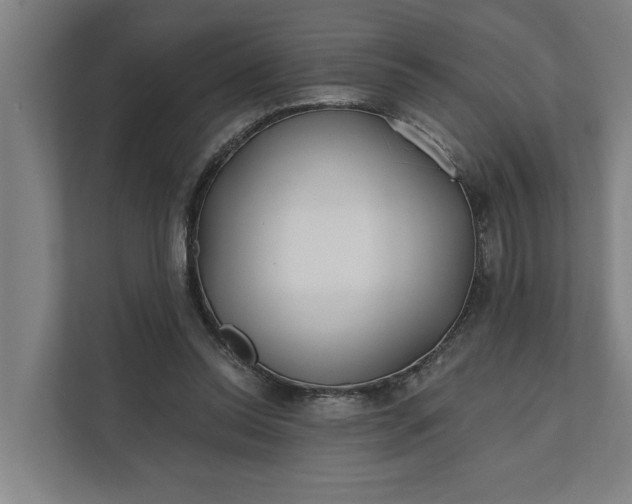 X0000112180350200908211504