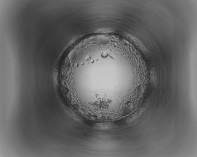 X0000112180351200908211504