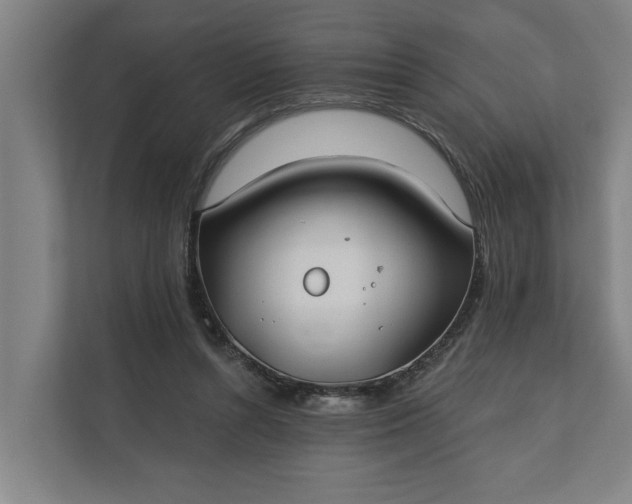 X0000112180352200908211504