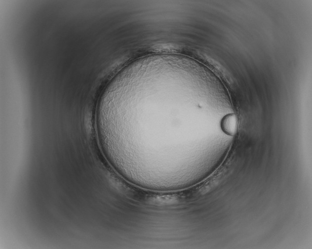 X0000112180353200908211504