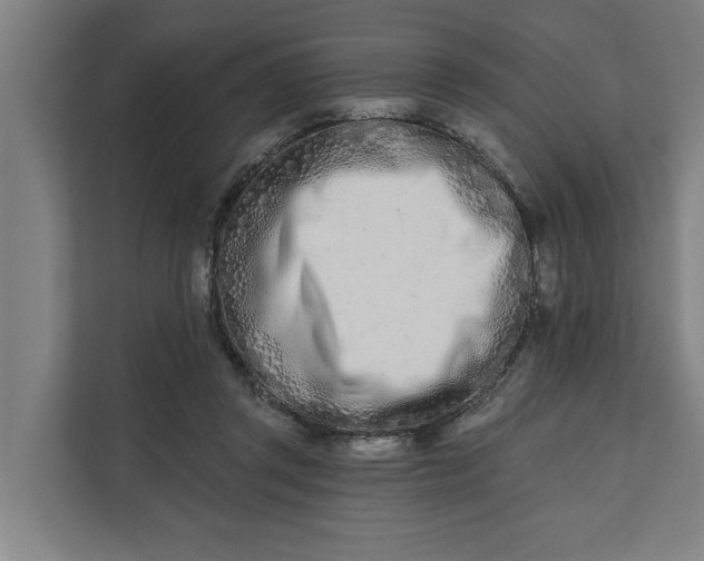 X0000112180357200908211504