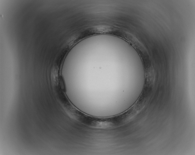 X0000112180360200908211504