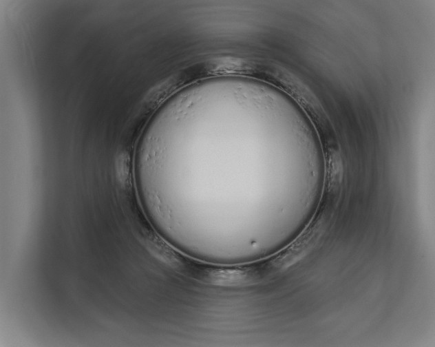 X0000112180361200908211504