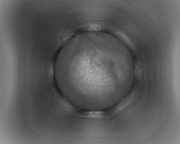 X0000112180363200908211504