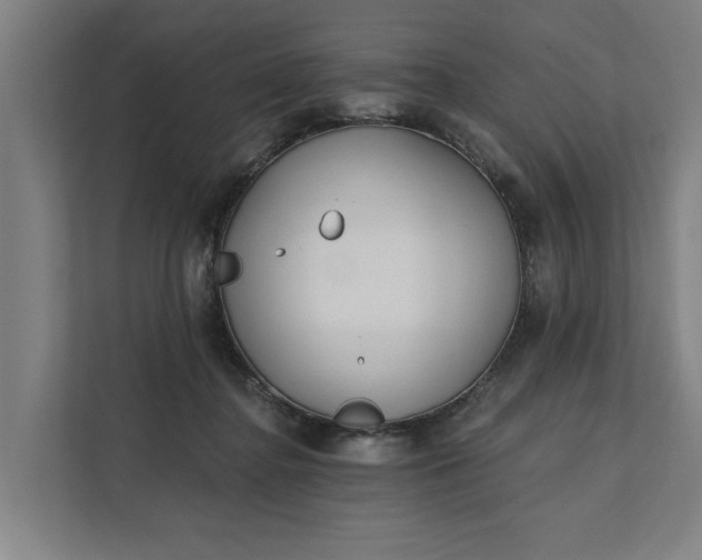 X0000112180364200908211504