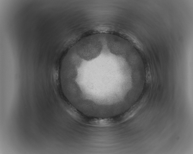 X0000112180365200908211505