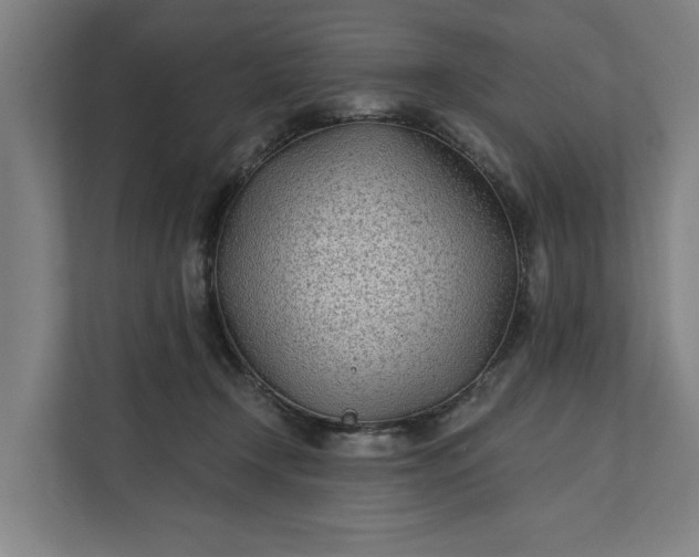 X0000112180366200908211505